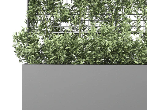 Botanischer &Uuml;bertopf 3 3D Modell