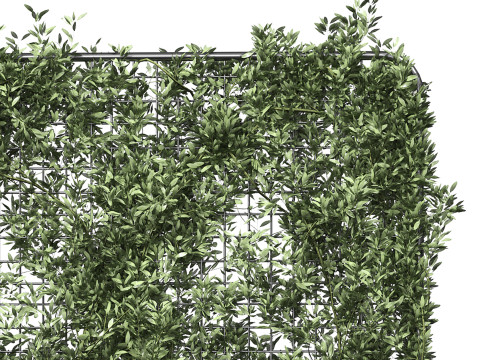 Botanical Planter 3 3D Модель