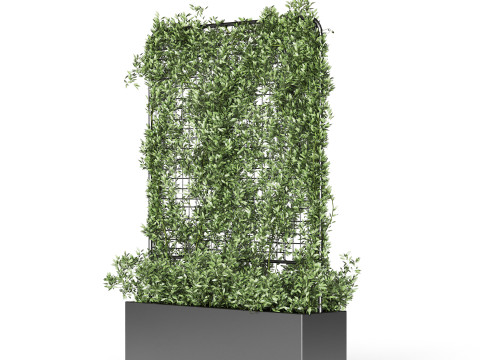 Botanical Planter 3 3D Модель
