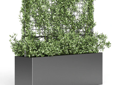 Botanischer &Uuml;bertopf 3 3D Modell