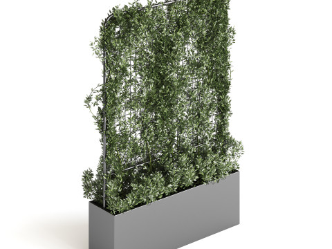 Botanical Planter 3 3D Модель