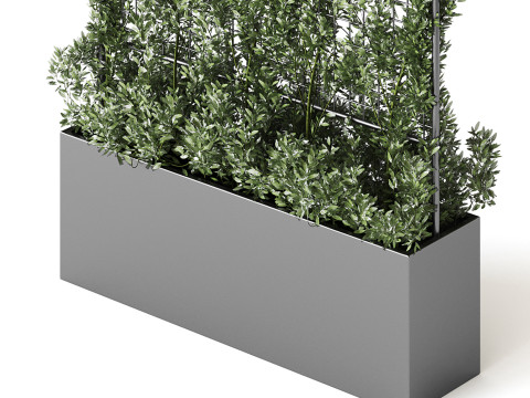 Botanical Planter 3 3D Модель