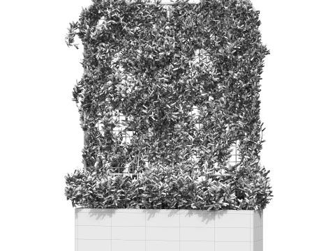 Botanischer &Uuml;bertopf 3 3D Modell