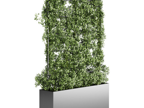 Botanical Planter 4 3D Model