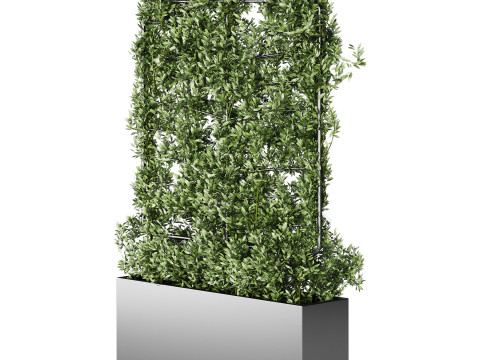 Botanical Planter 4 3D Model