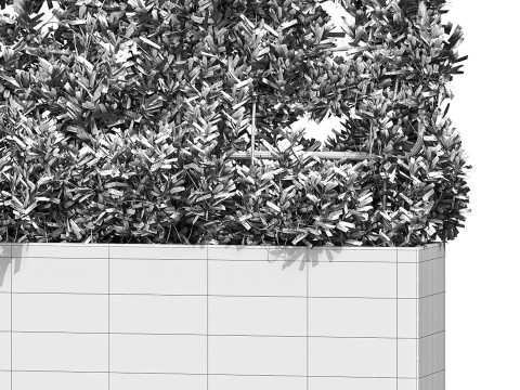 Botanical Planter 4 3D Model