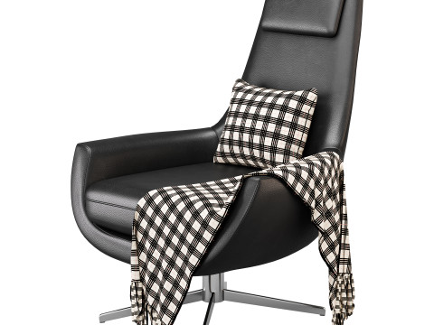 BRUNE lounge arimchair 3D Model