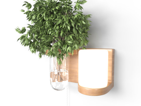 Isla Wall Mounted Lamp Glass Vase 3D Модель