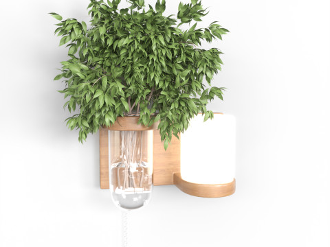 Isla Wall Mounted Lamp Glass Vase 3D Модель