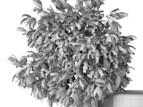 Isla Wall Mounted Lamp Glass Vase 3D Модель