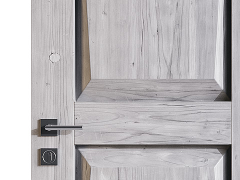 Modern entrance door 10 3D 모델
