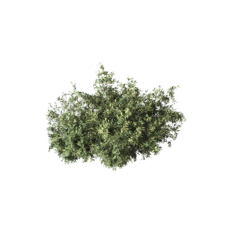 Natural Topiary Bush 3D Model .c4d .max .obj .3ds .fbx .stl .blend 