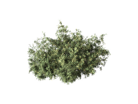 Natural Topiary Bush 3D मॉडल
