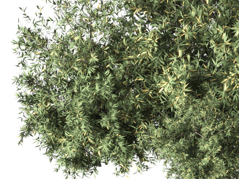 Natural Topiary Bush 3D Model
