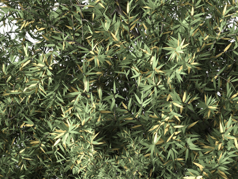 Natural Topiary Bush 3D Model