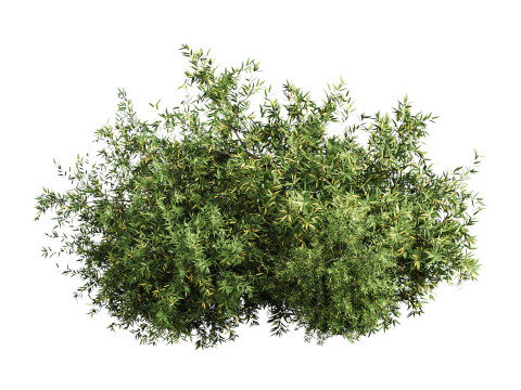 Natural Topiary Bush 3D Model