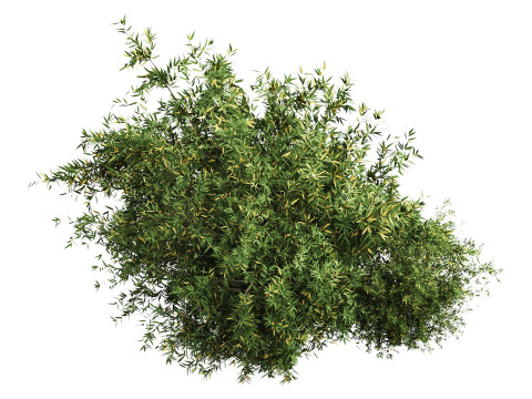 Natural Topiary Bush 3D Model