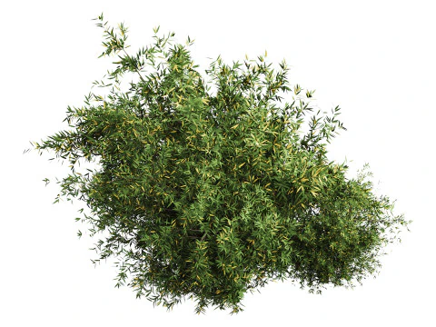 Natural Topiary Bush 3D Model