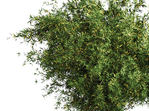 Natural Topiary Bush 3D Model