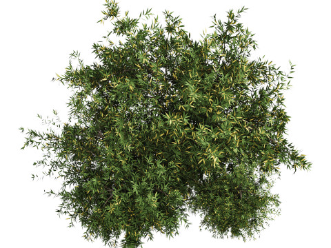 Natural Topiary Bush 3D Model