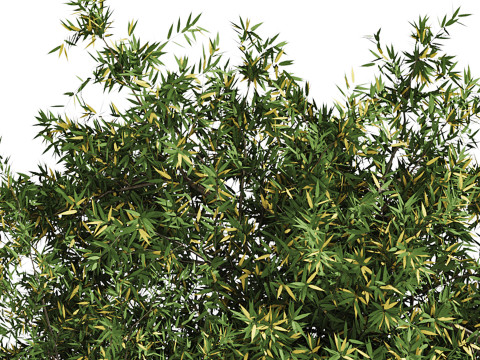 Natural Topiary Bush 3D Model