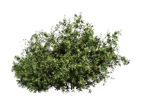 Natural Topiary Bush 3D Model