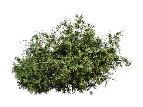 Natural Topiary Bush 3D Model
