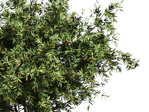 Natural Topiary Bush 3D Model