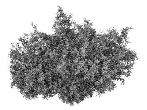 Natural Topiary Bush 3D Model