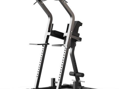 ATX Bodyweight Multi Tower Model 3D