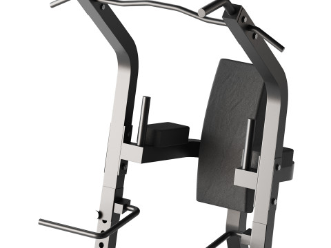 ATX Bodyweight Multi Tower Model 3D