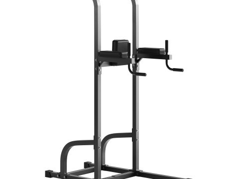FORCE USA Tower Power Model 3D