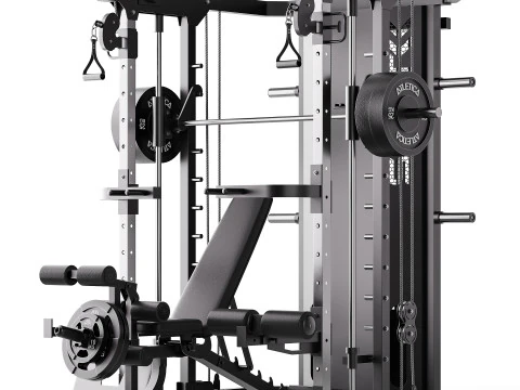 SWAT-multipers 3D Model