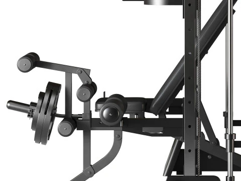 SWAT-multipers 3D Model