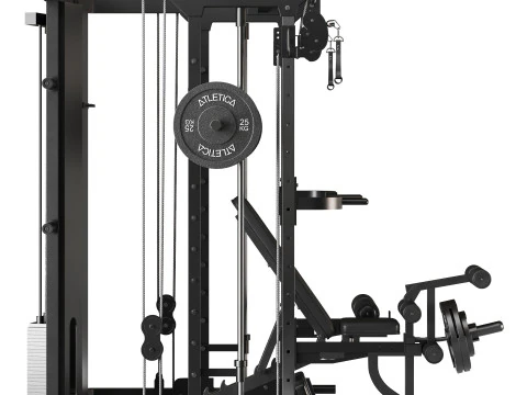 SWAT-multipers 3D Model