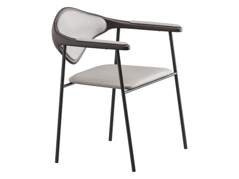 Dhira Model 3D