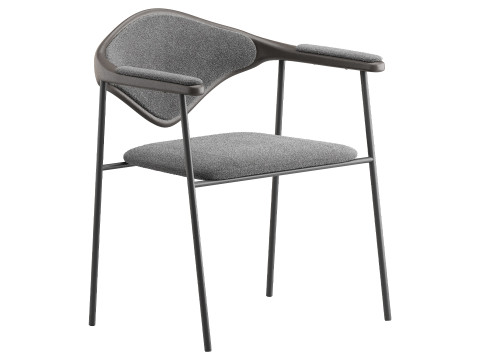 Dhira Model 3D