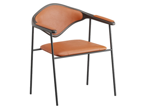 Dhira Model 3D
