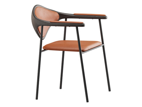Dhira Model 3D