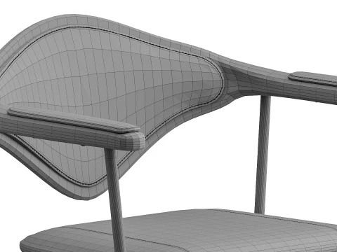 Dhira 3D Model
