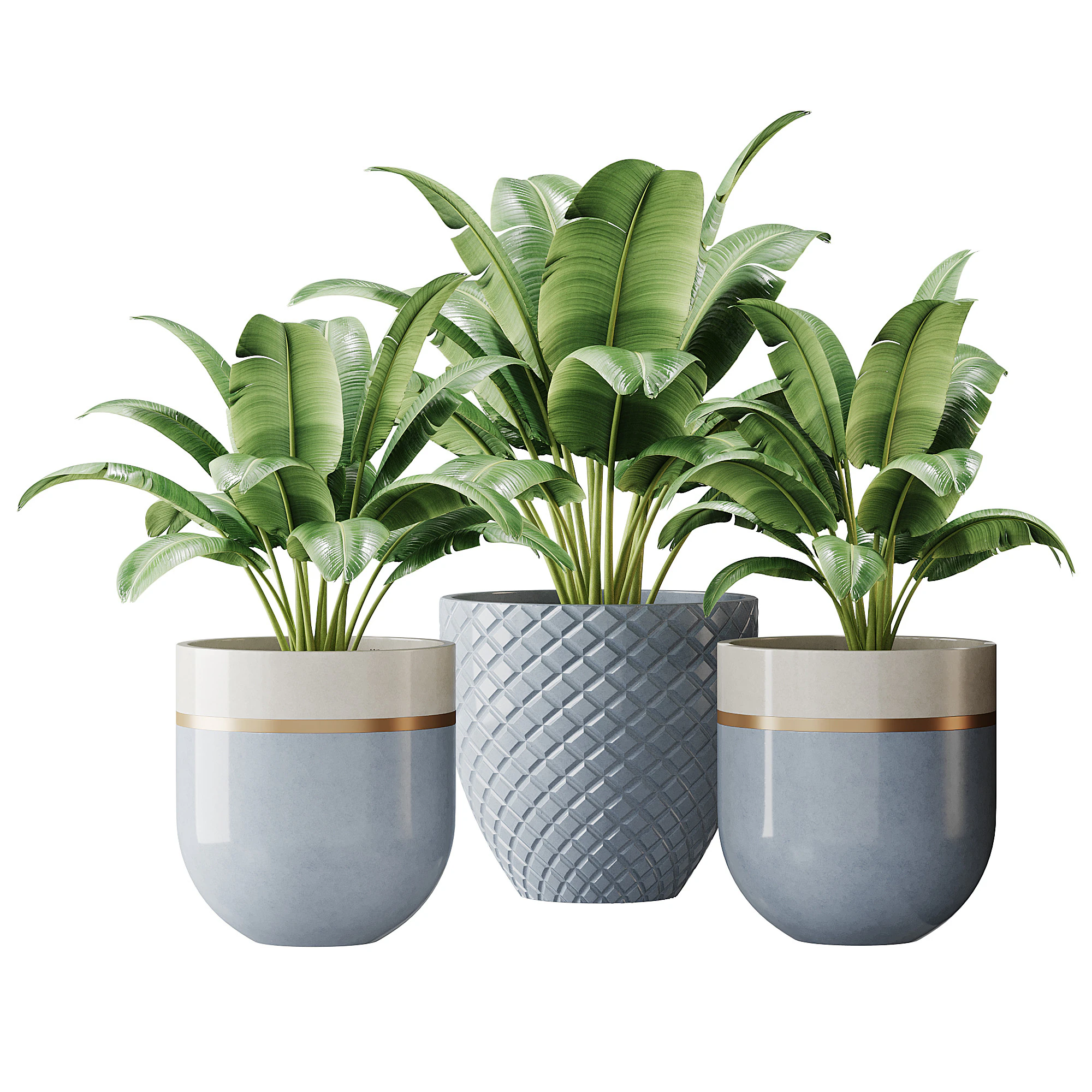 Spathiphyllum wallisii flower 3D Model .c4d .max .obj .3ds .fbx .stl .blend