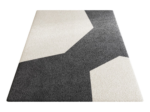 Rug Set 55 3D Model
