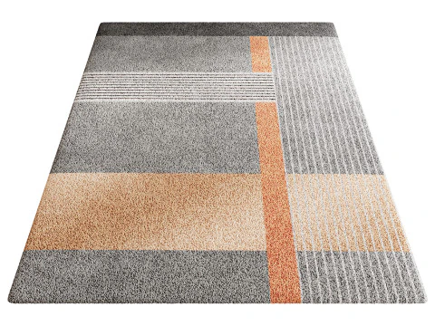 Set tappeti 55 Modello 3D