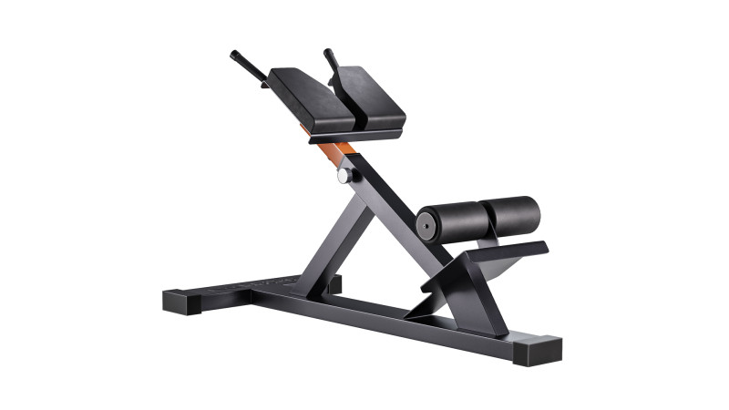 Hyperextension Club Line Lacertosus 3D Model .c4d .max .obj .3ds .fbx .stl .blend 