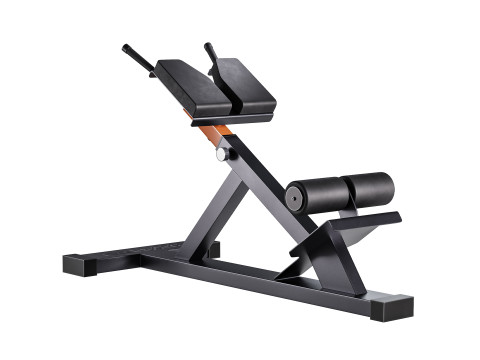 Hyperextension Club Line Lacertosus 3D 模型