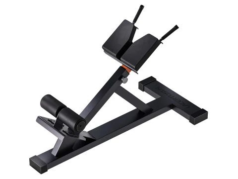 Iperestensione Club Line Lacertosus Modello 3D