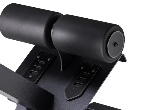 Iperestensione Club Line Lacertosus Modello 3D