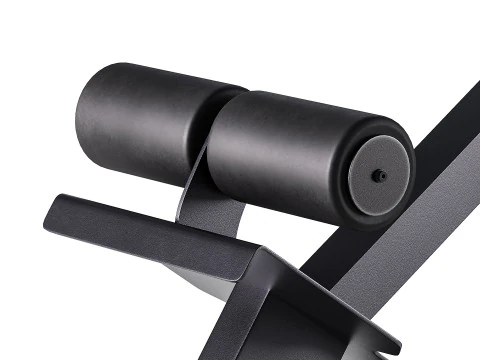 Iperestensione Club Line Lacertosus Modello 3D