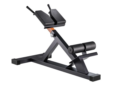 Iperestensione Club Line Lacertosus Modello 3D