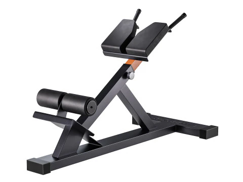 Iperestensione Club Line Lacertosus Modello 3D